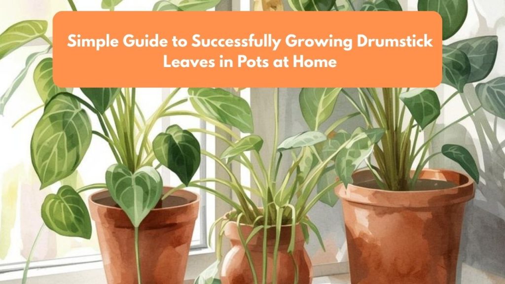 Simple Guide to Successfully Growing Drumstick Leaves in Pots at Home